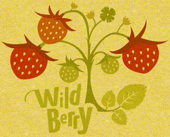 Wildberry